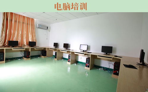 电脑培训机构与在线咨询服务 如何选择值得信赖的计算机信息技术学习伙伴