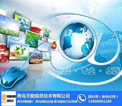 青岛易站通价格与青岛天助在线咨询服务解析