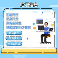 网站二次开发 高效修复Bug与增强功能，提供一站式信息技术咨询服务